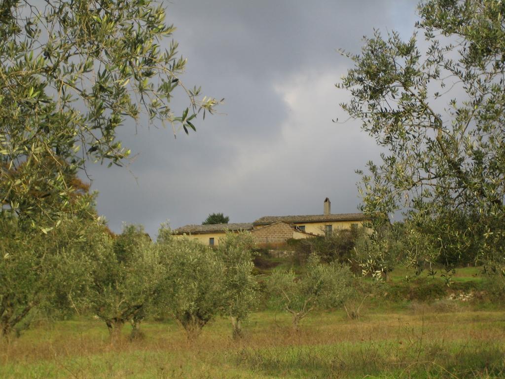 Agriturismo Le Roghete Acquapendente Exterior photo