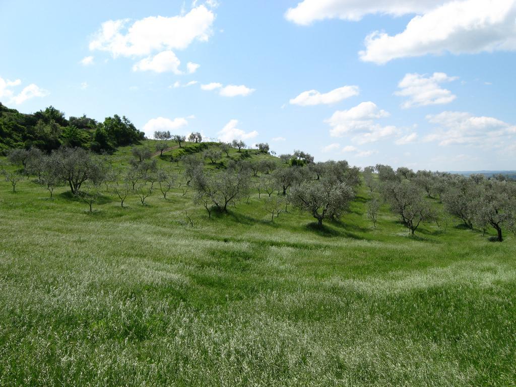 Agriturismo Le Roghete Acquapendente Exterior photo