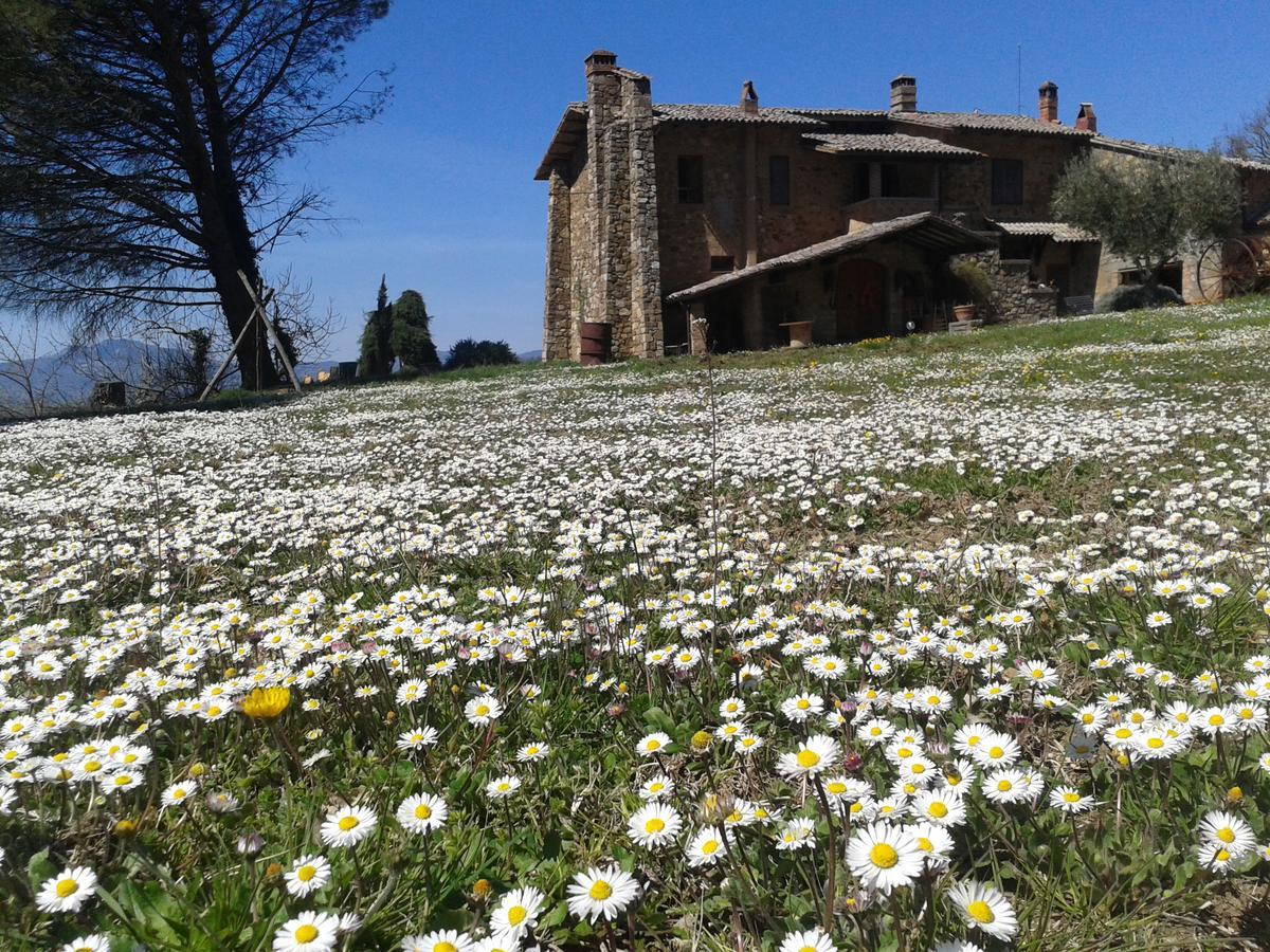 Agriturismo Le Roghete Acquapendente Exterior photo