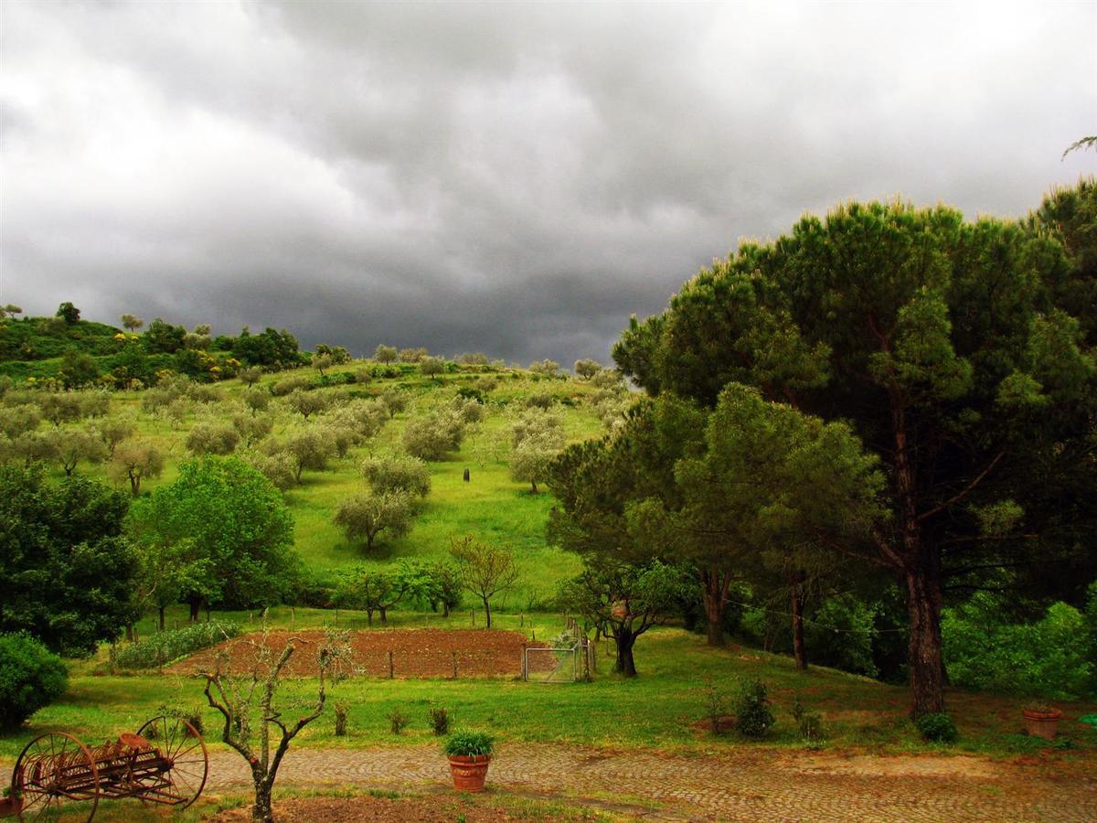 Agriturismo Le Roghete Acquapendente Exterior photo